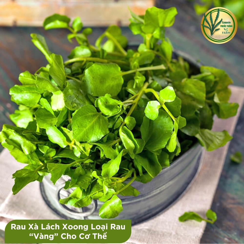 Rau liệt còn có tên gọi khác là cải xoong, xà lách xoong (danh pháp hai phần: Nasturtium officinale hoặc Nasturtium microphyllum) là một loại thực vật thủy sinh hay bán thủy sinh, sống lâu năm và lớn nhanh, có nguồn gốc từ châu Âu tới Trung Á và là một trong số những loại rau ăn được con người dùng từ rất lâu. Các loài thực vật này là thành viên của họ Cải (Brassicaceae), về mặt thực vật học là có họ hàng với rau tần và mù tạc — tất cả chúng đều đáng chú ý vì có mùi vị hăng và cay