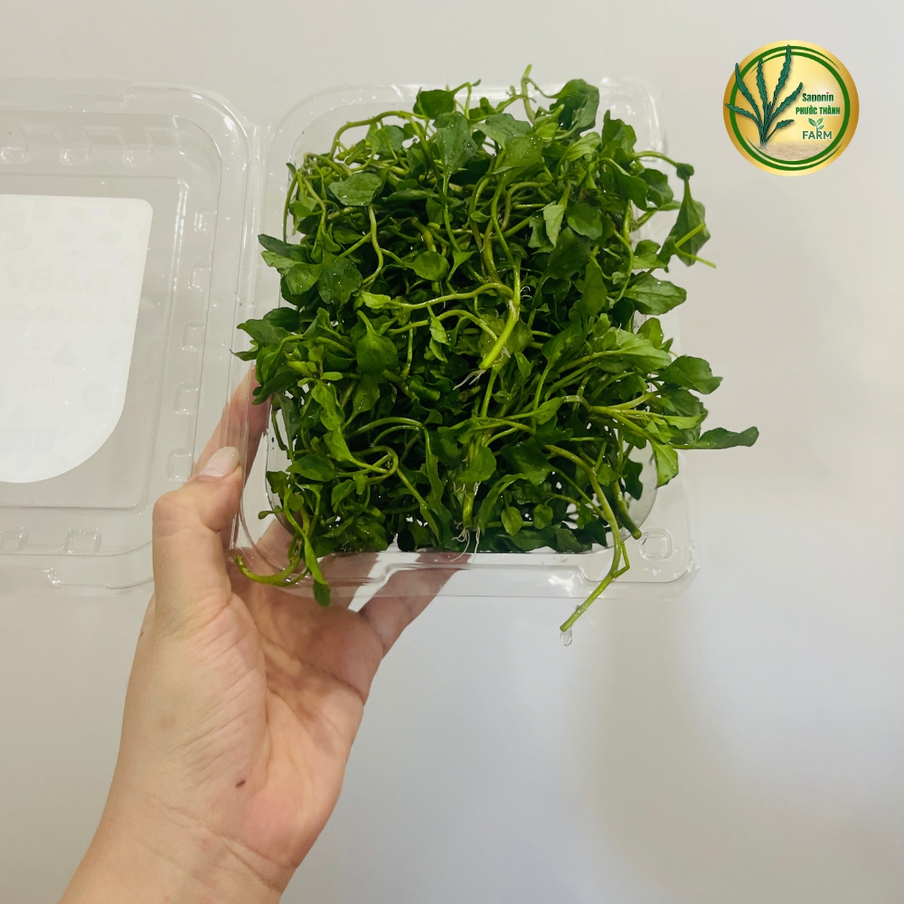 Rau liệt còn có tên gọi khác là cải xoong, xà lách xoong (danh pháp hai phần: Nasturtium officinale hoặc Nasturtium microphyllum) là một loại thực vật thủy sinh hay bán thủy sinh, sống lâu năm và lớn nhanh, có nguồn gốc từ châu Âu tới Trung Á và là một trong số những loại rau ăn được con người dùng từ rất lâu. Các loài thực vật này là thành viên của họ Cải (Brassicaceae), về mặt thực vật học là có họ hàng với rau tần và mù tạc — tất cả chúng đều đáng chú ý vì có mùi vị hăng và cay