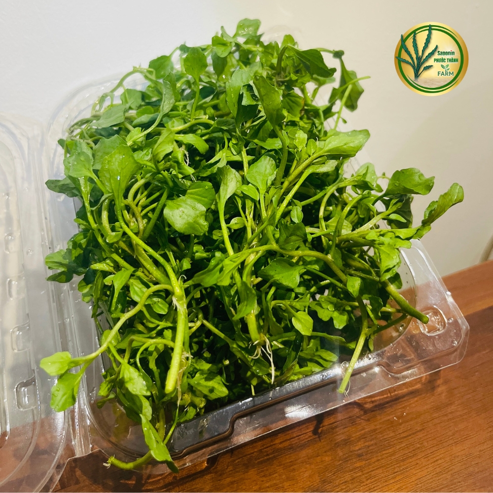 Rau liệt còn có tên gọi khác là cải xoong, xà lách xoong (danh pháp hai phần: Nasturtium officinale hoặc Nasturtium microphyllum) là một loại thực vật thủy sinh hay bán thủy sinh, sống lâu năm và lớn nhanh, có nguồn gốc từ châu Âu tới Trung Á và là một trong số những loại rau ăn được con người dùng từ rất lâu. Các loài thực vật này là thành viên của họ Cải (Brassicaceae), về mặt thực vật học là có họ hàng với rau tần và mù tạc — tất cả chúng đều đáng chú ý vì có mùi vị hăng và cay